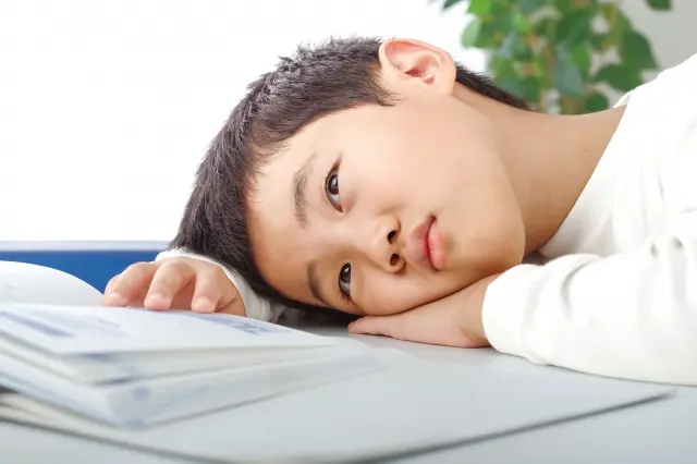 小学6年生のための英語学習を解説する画像